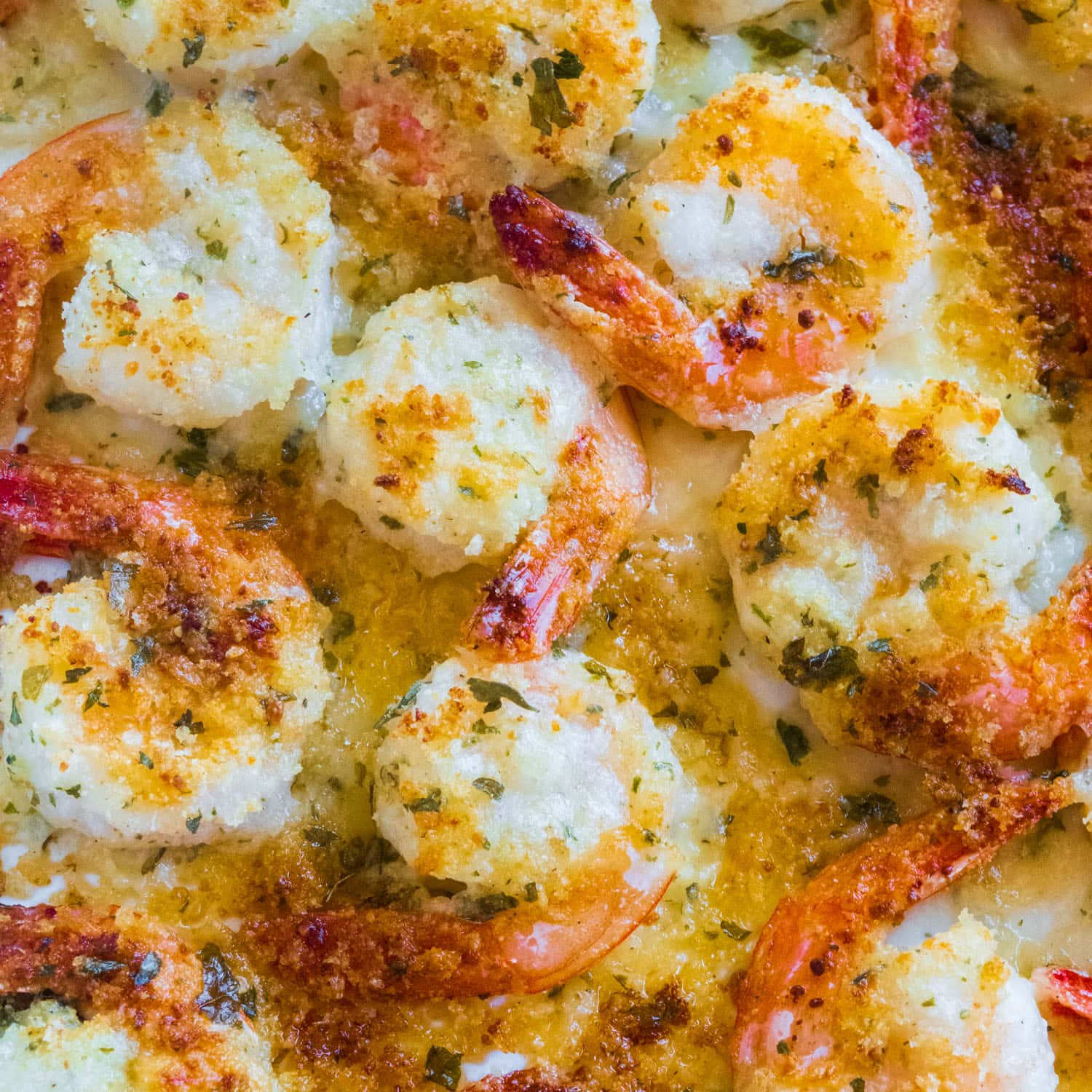Crispy Oven Baked Shrimp: Juicy, Cheesy & Ready in Minutes